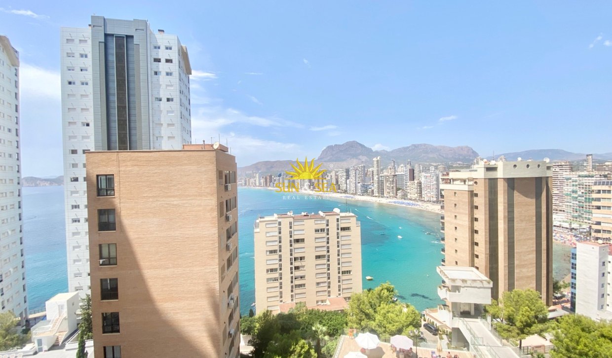 Alquiler a largo plazo - Apartamento - Benidorm