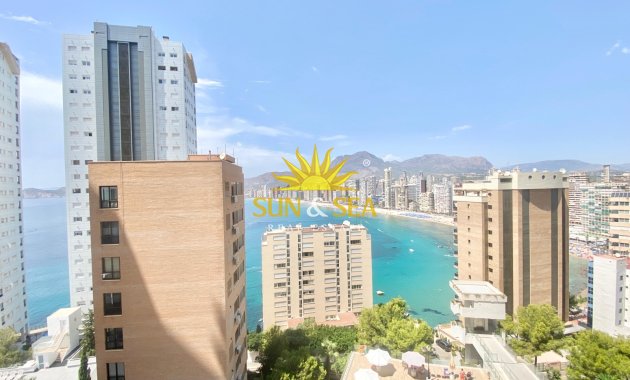 Alquiler a largo plazo - Apartamento - Benidorm
