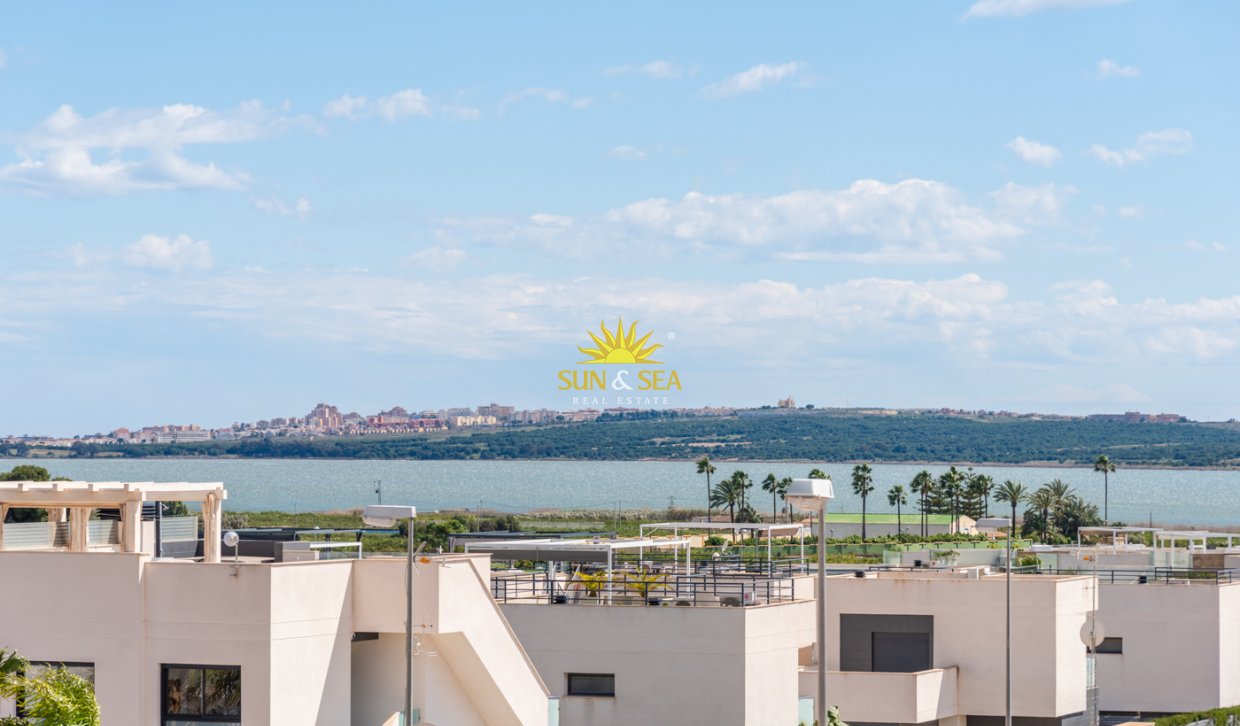 Obra nueva - detached - Los Montesinos - LOS MONTESINOS