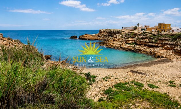 Long Term Rental - Apartment - Torrevieja - torrevieja