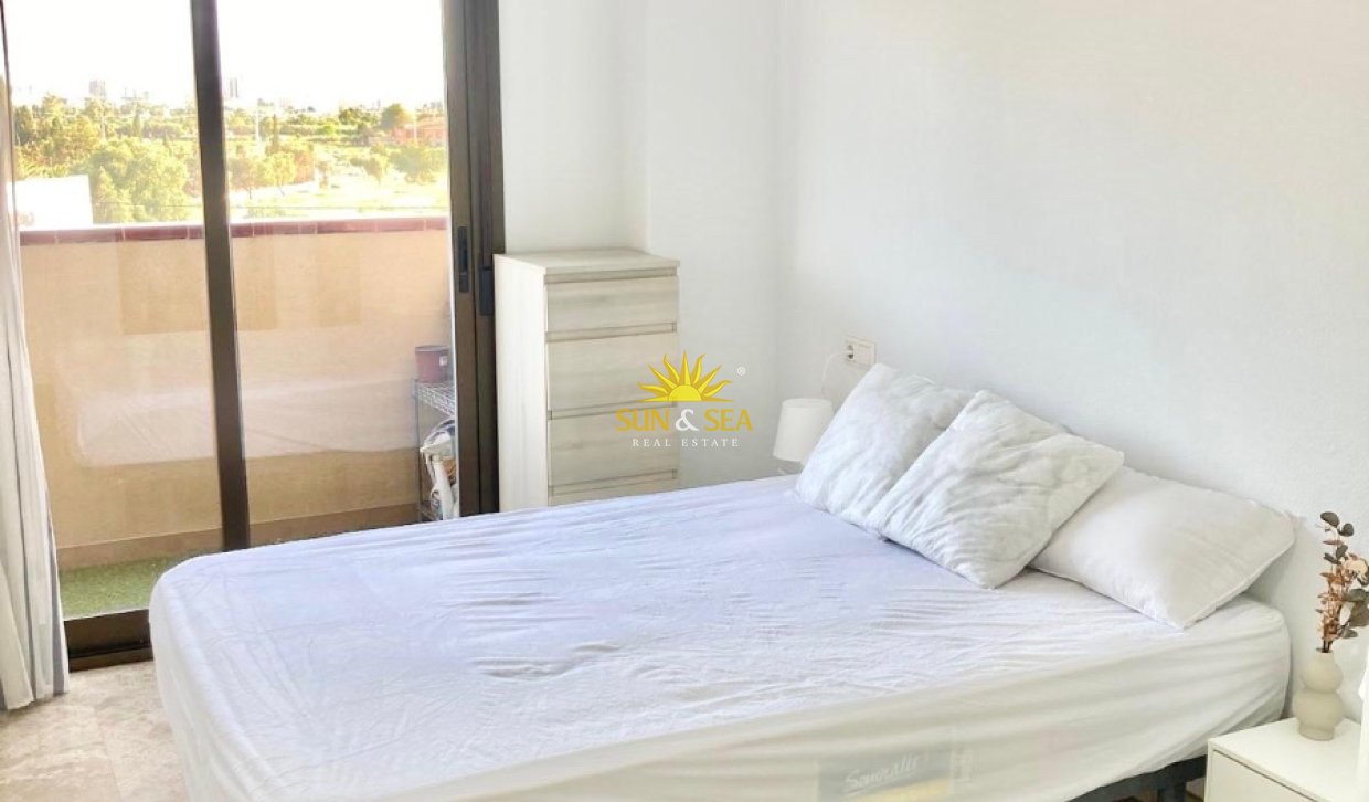 Alquiler a largo plazo - Apartamento - Alicante (Alacant)