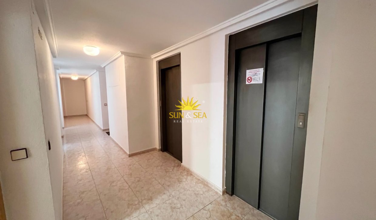 Location à long terme - Appartement - Torrevieja - Centro