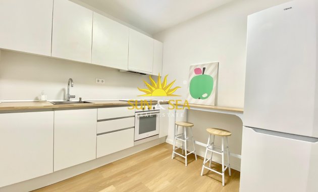 Long Term Rental - Apartment - Alicante (Alacant)