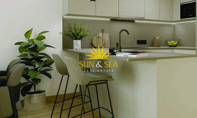 Nieuwbouw Woningen - Penthouse - Torrevieja - torrevieja