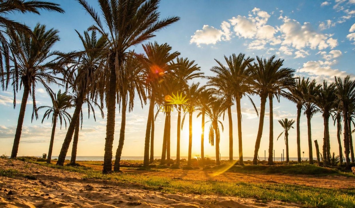 Resale - Apartment - Torrevieja - La veleta