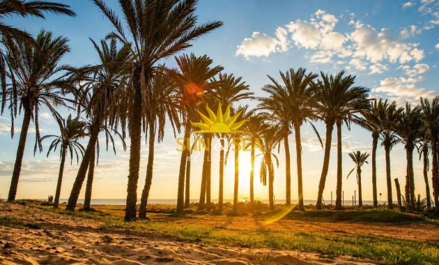 Resale - Apartment - Torrevieja - La veleta