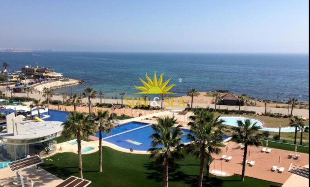 Long Term Rental - Apartment - Torrevieja - torrevieja