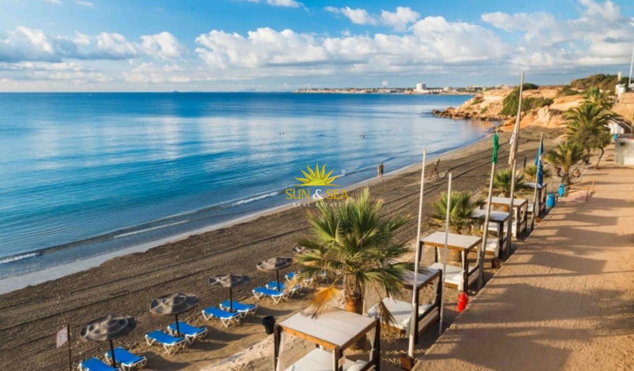 Long Term Rental - Apartment - Torrevieja - torrevieja