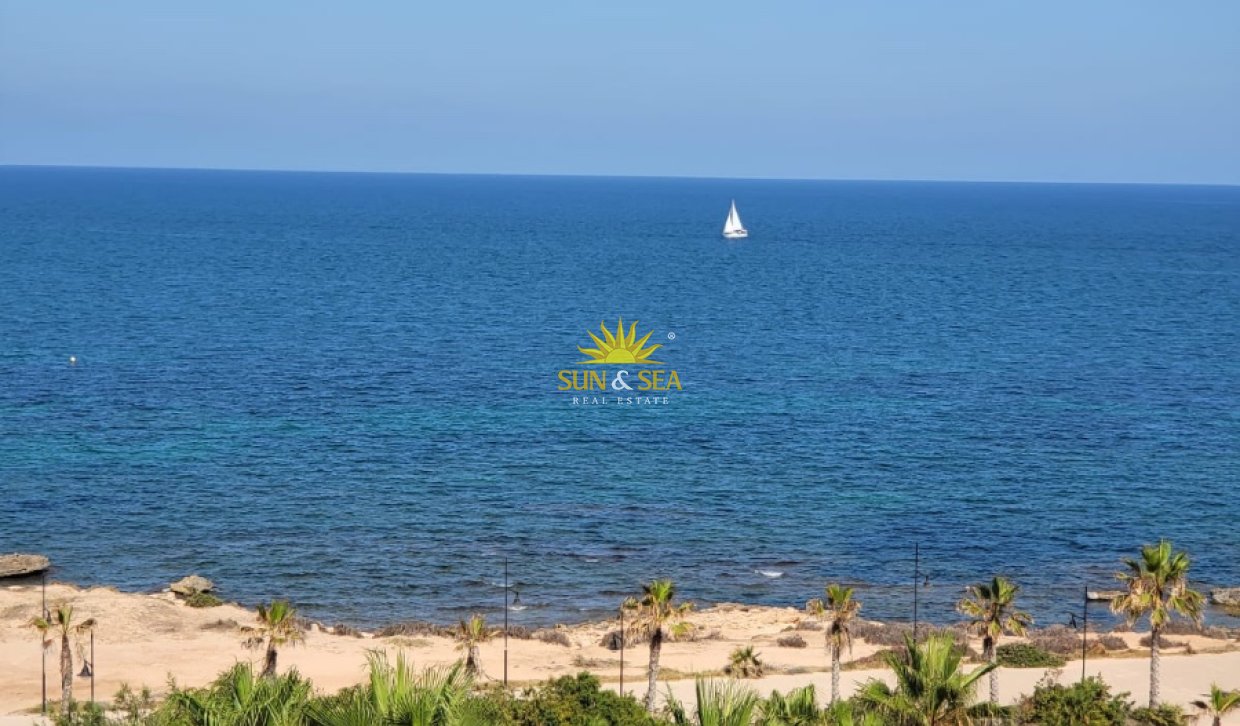 Long Term Rental - Apartment - Torrevieja - torrevieja