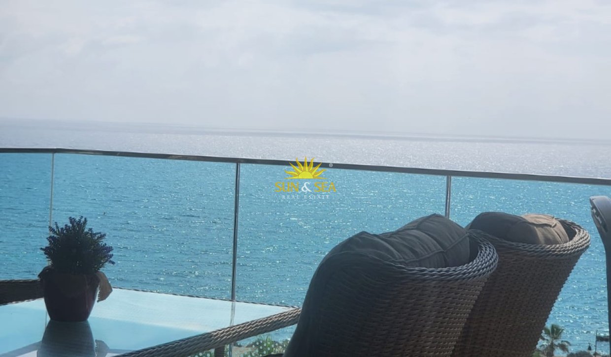 Long Term Rental - Apartment - Torrevieja - torrevieja