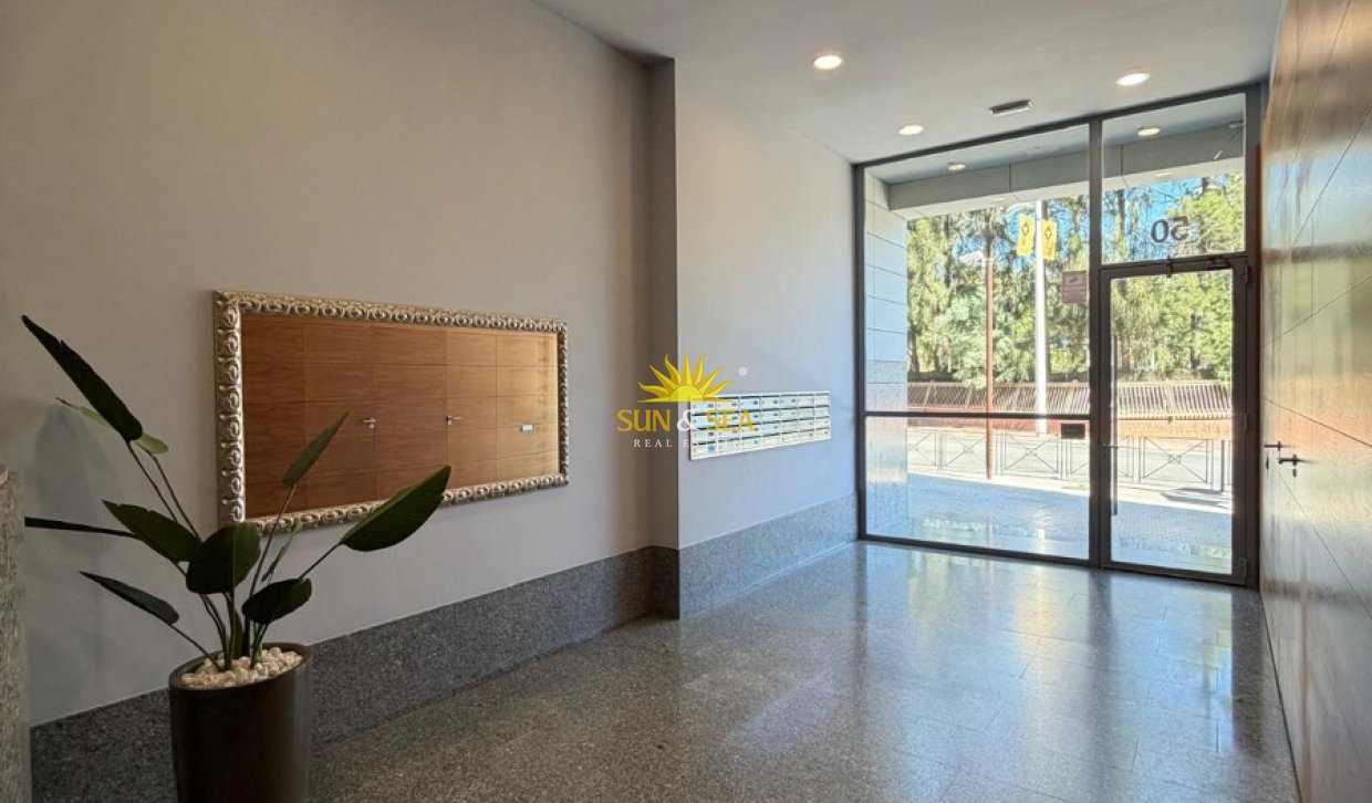Long Term Rental - Apartment - Elche - Center