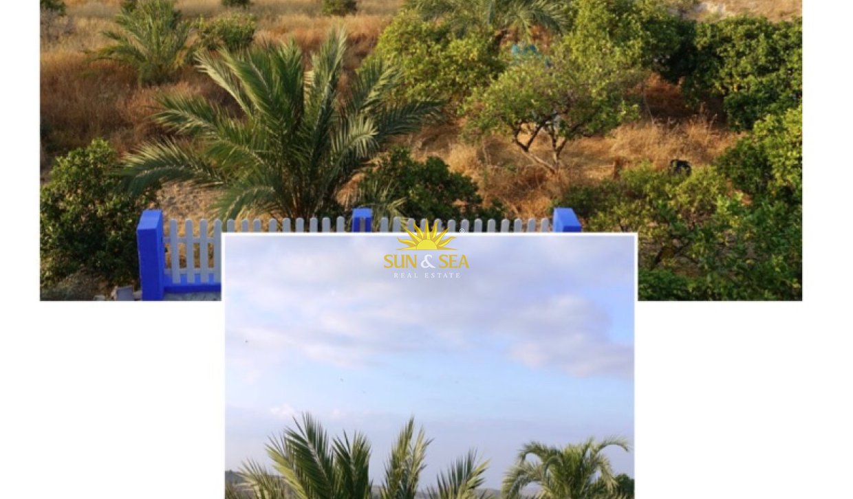 Winter rental - Villa - Alicante (Alacant)