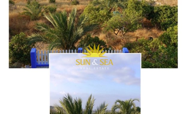 Winter rental - Villa - Alicante (Alacant)