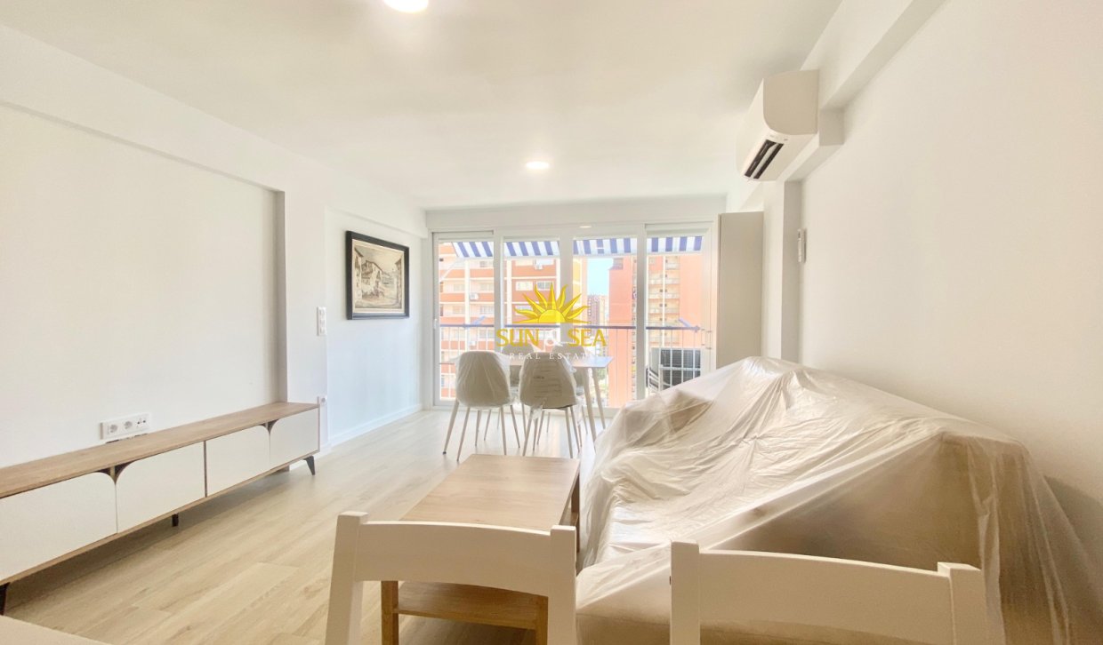 Winter rental - Apartment - Benidorm