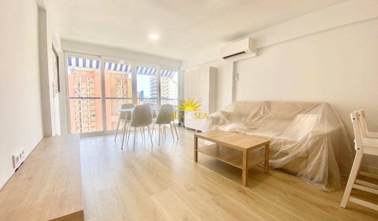 Winter rental - Apartment - Benidorm