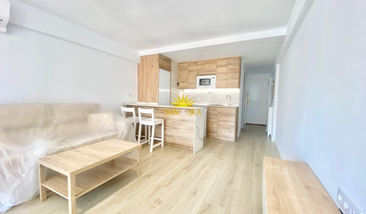 Winter rental - Apartment - Benidorm