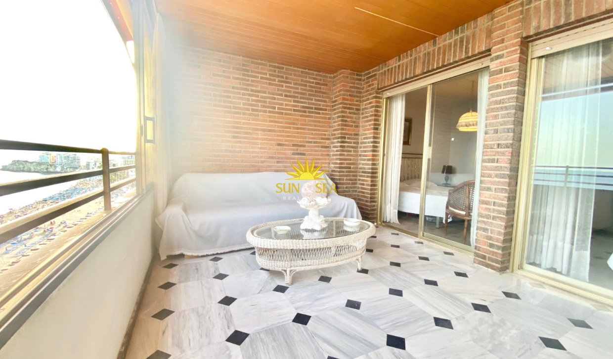 Winter rental - Apartment - Benidorm - Levante