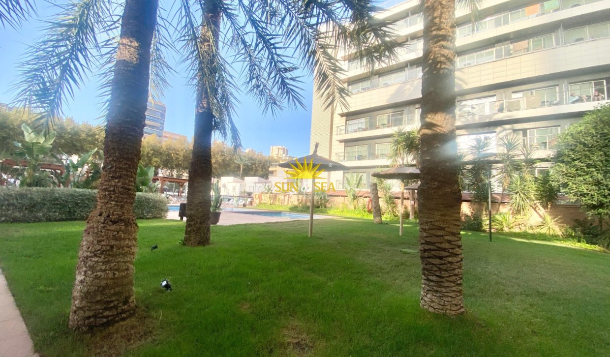 Winter rental - Apartment - Benidorm - Levante