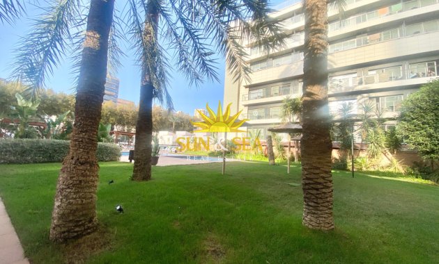 Winter rental - Apartment - Benidorm - Levante
