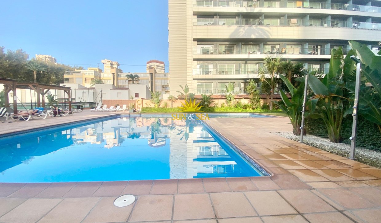 Winter rental - Apartment - Benidorm - Levante
