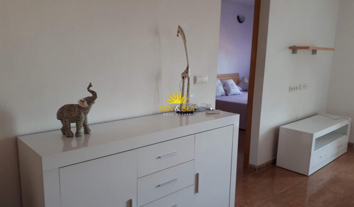 Long Term Rental - Apartment - Torrevieja - torrevieja
