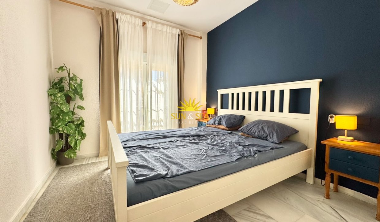 Alquiler de invierno - Apartamento - Torrevieja - torrevieja