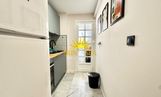 Alquiler de invierno - Apartamento - Torrevieja - torrevieja