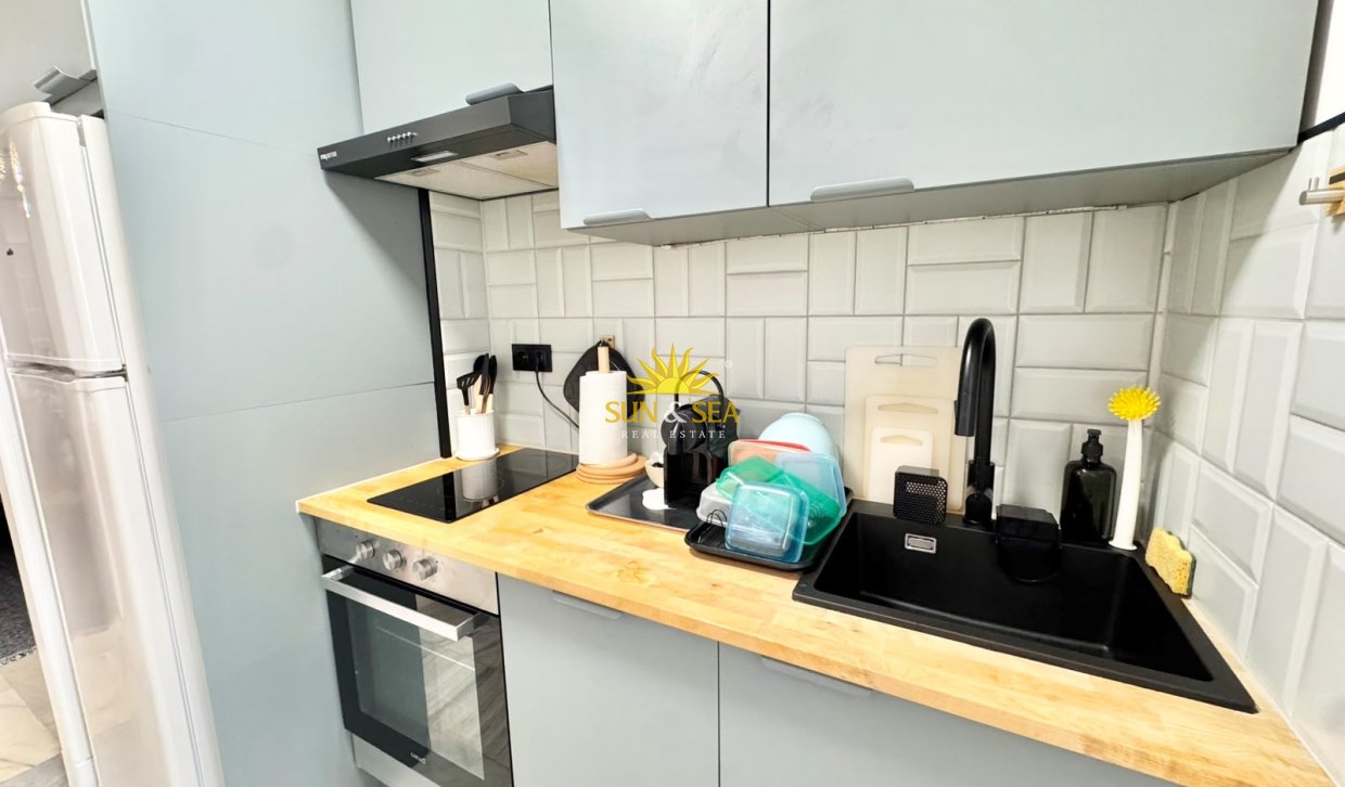 Alquiler de invierno - Apartamento - Torrevieja - torrevieja