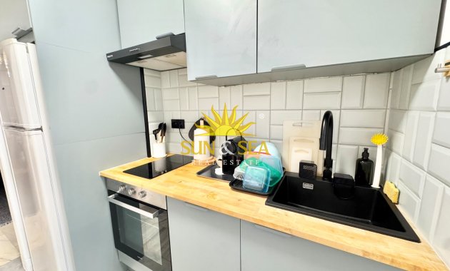 Alquiler de invierno - Apartamento - Torrevieja - torrevieja