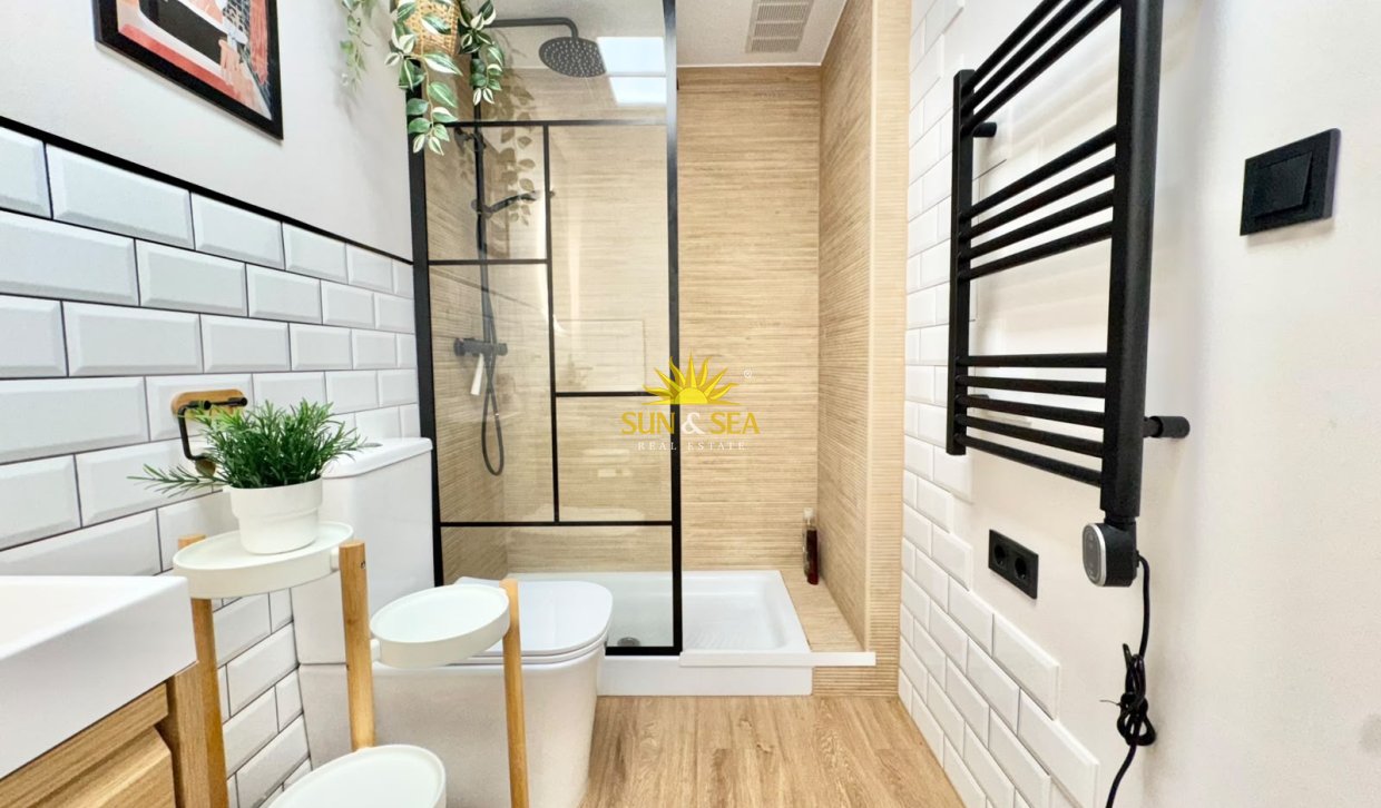 Alquiler de invierno - Apartamento - Torrevieja - torrevieja