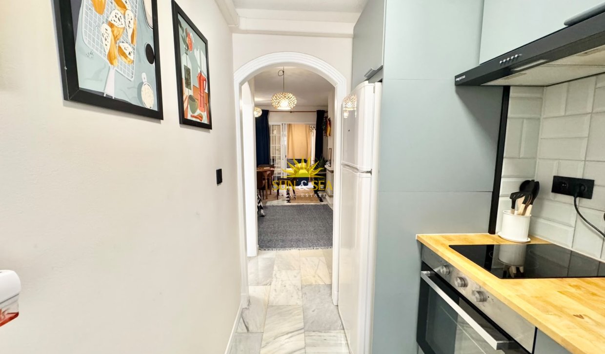 Alquiler de invierno - Apartamento - Torrevieja - torrevieja