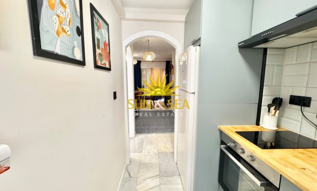 Alquiler de invierno - Apartamento - Torrevieja - torrevieja
