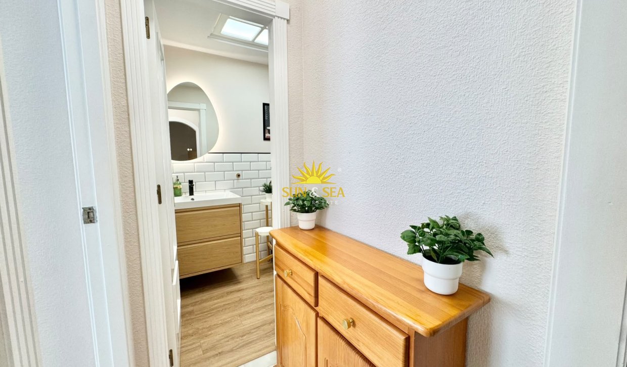 Alquiler de invierno - Apartamento - Torrevieja - torrevieja