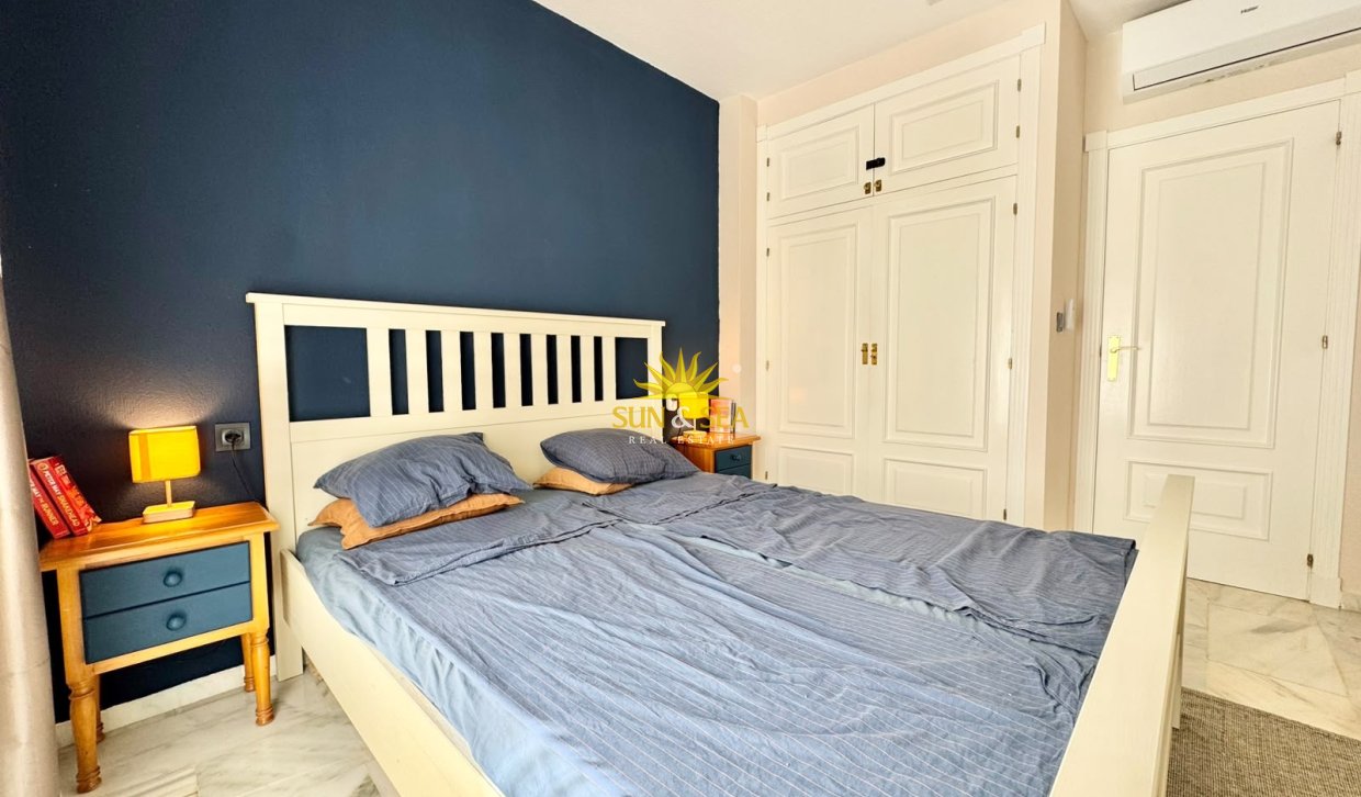 Alquiler de invierno - Apartamento - Torrevieja - torrevieja