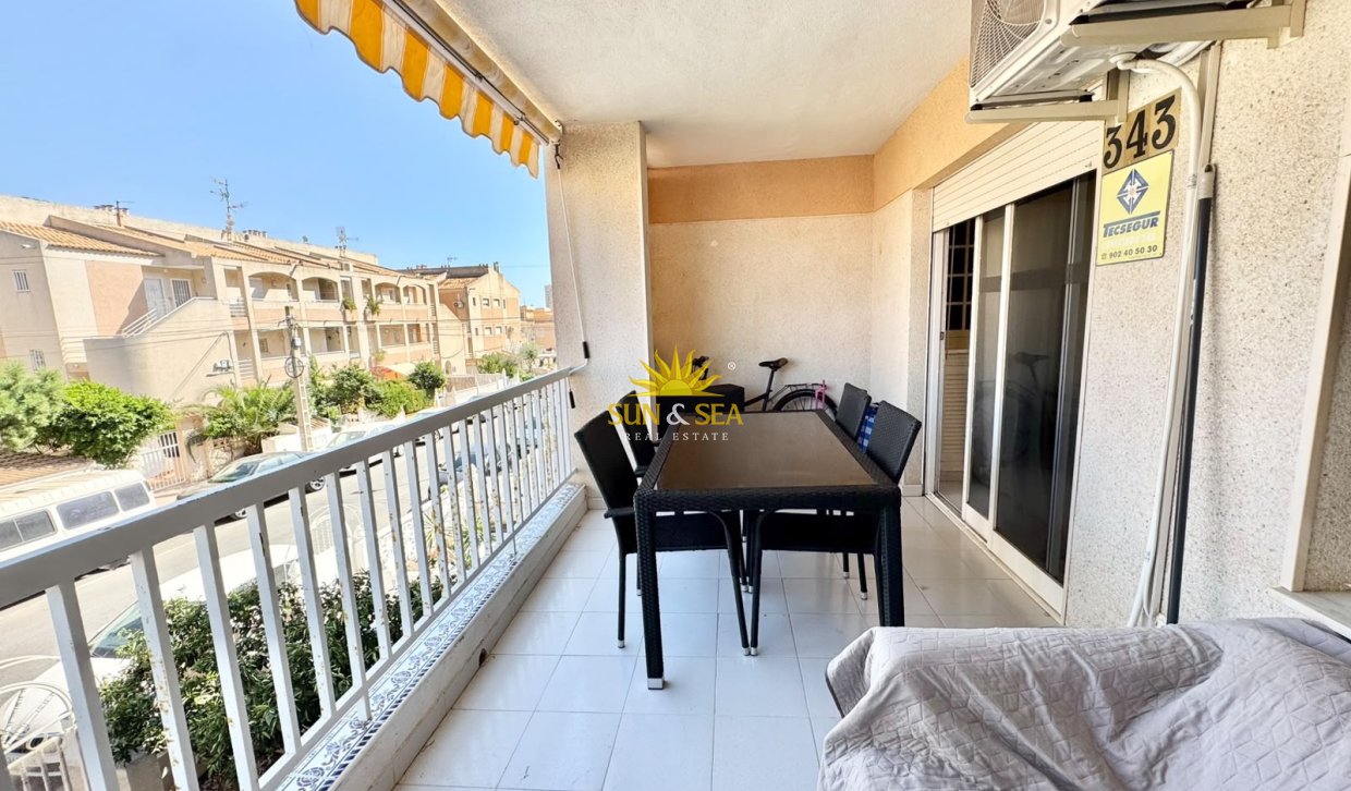 Alquiler de invierno - Apartamento - Torrevieja - torrevieja