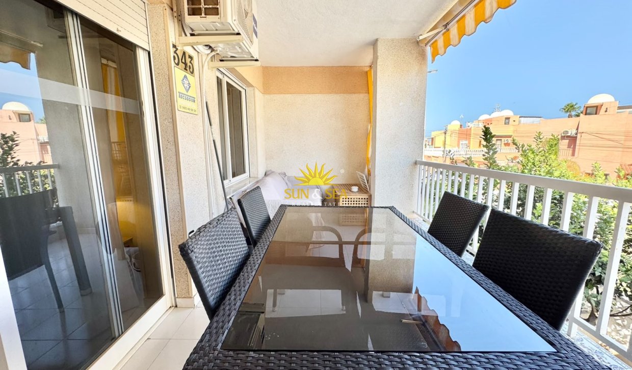 Alquiler de invierno - Apartamento - Torrevieja - torrevieja