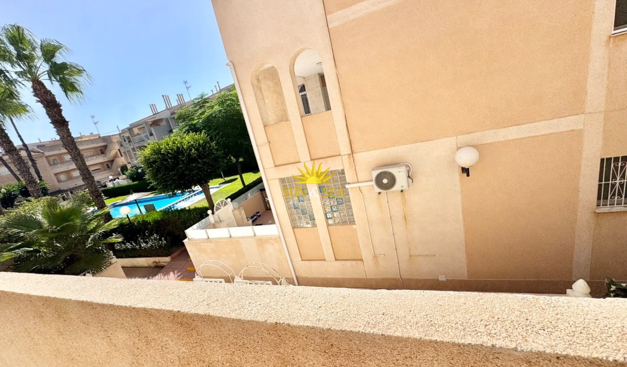 Alquiler de invierno - Apartamento - Torrevieja - torrevieja