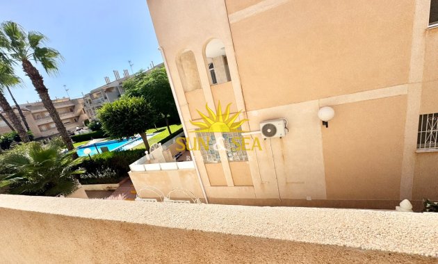 Alquiler de invierno - Apartamento - Torrevieja - torrevieja