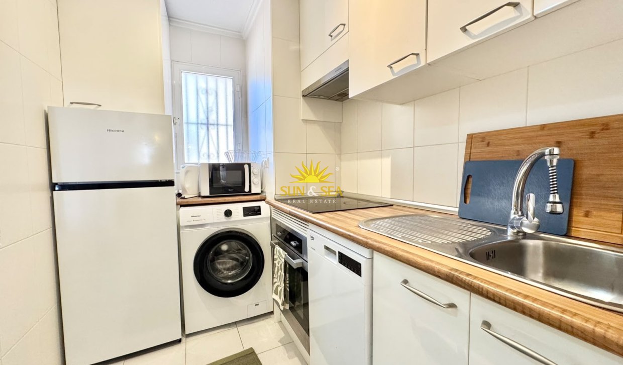 Alquiler de invierno - Apartamento - Torrevieja - torrevieja