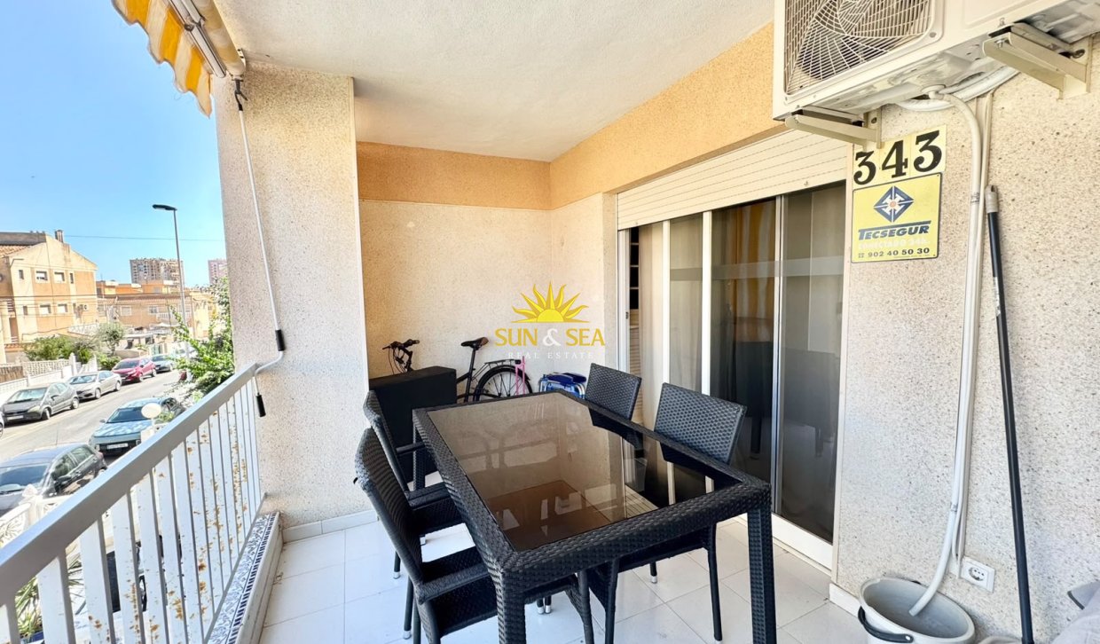 Alquiler de invierno - Apartamento - Torrevieja - torrevieja
