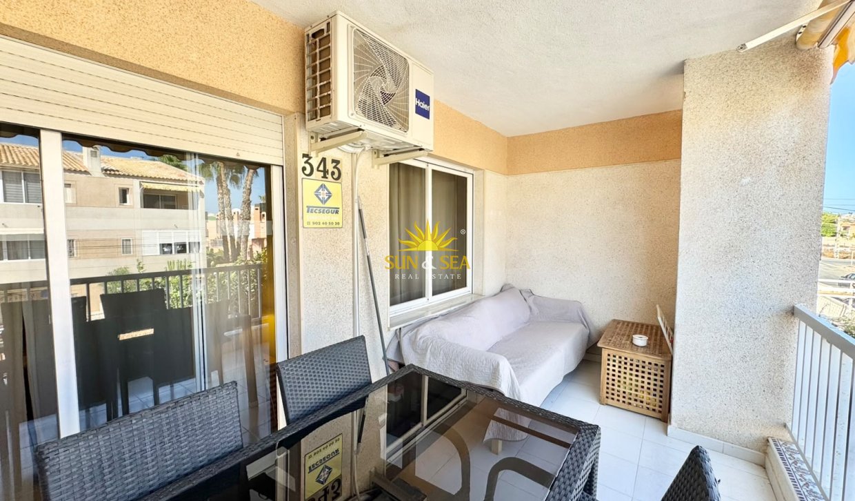 Alquiler de invierno - Apartamento - Torrevieja - torrevieja