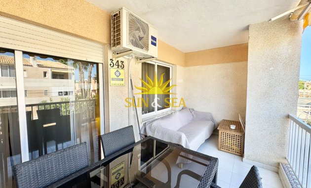 Alquiler de invierno - Apartamento - Torrevieja - torrevieja