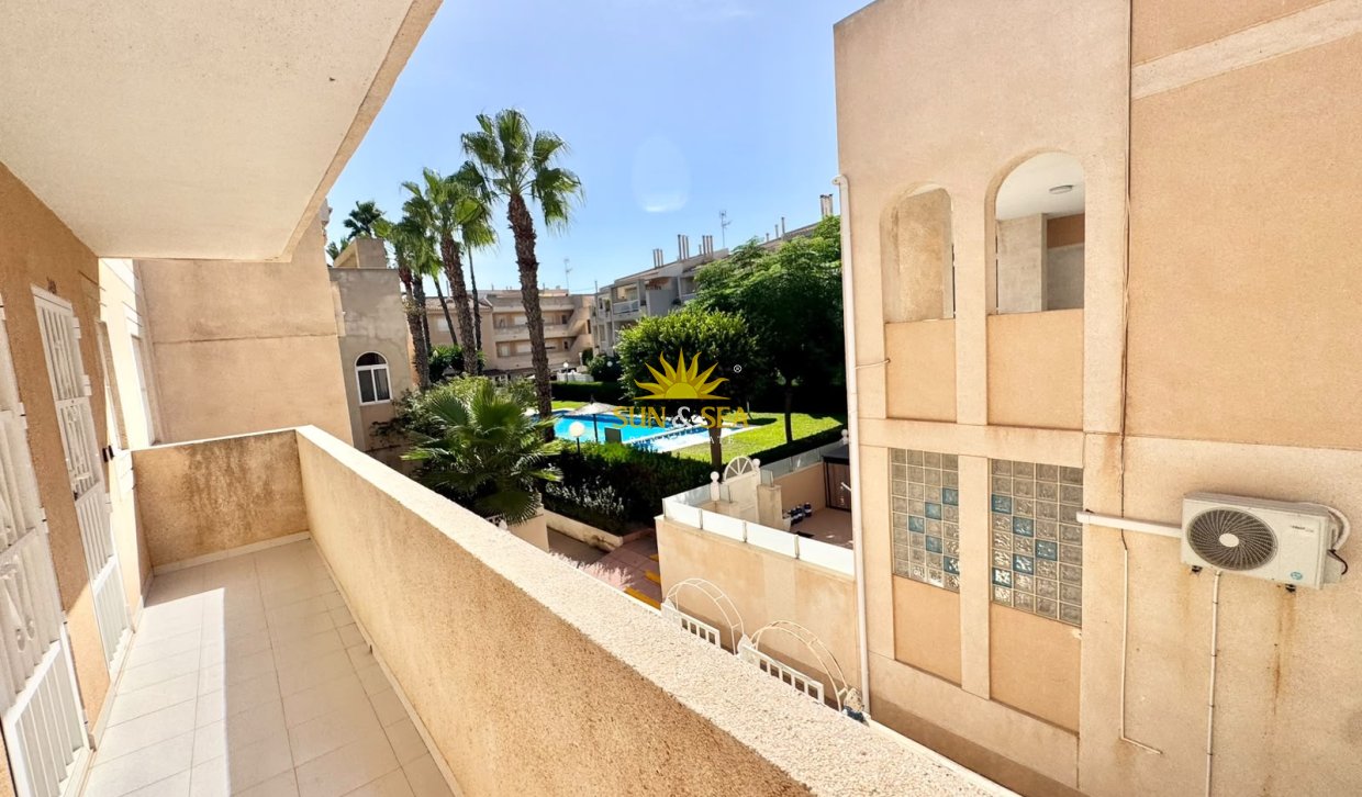 Alquiler de invierno - Apartamento - Torrevieja - torrevieja