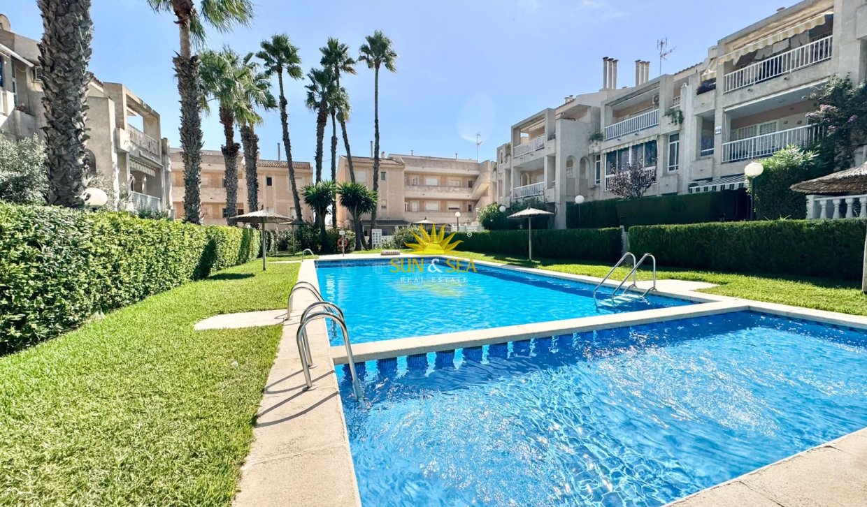 Alquiler de invierno - Apartamento - Torrevieja - torrevieja