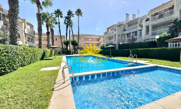 Alquiler de invierno - Apartamento - Torrevieja - torrevieja