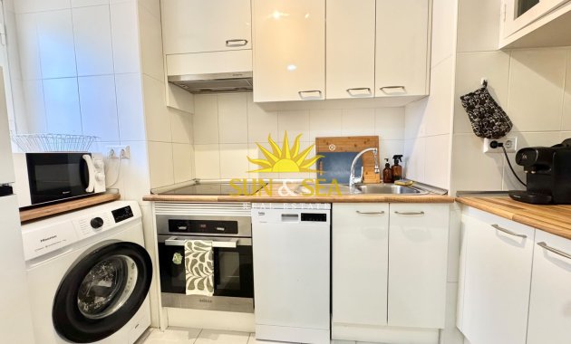 Alquiler de invierno - Apartamento - Torrevieja - torrevieja