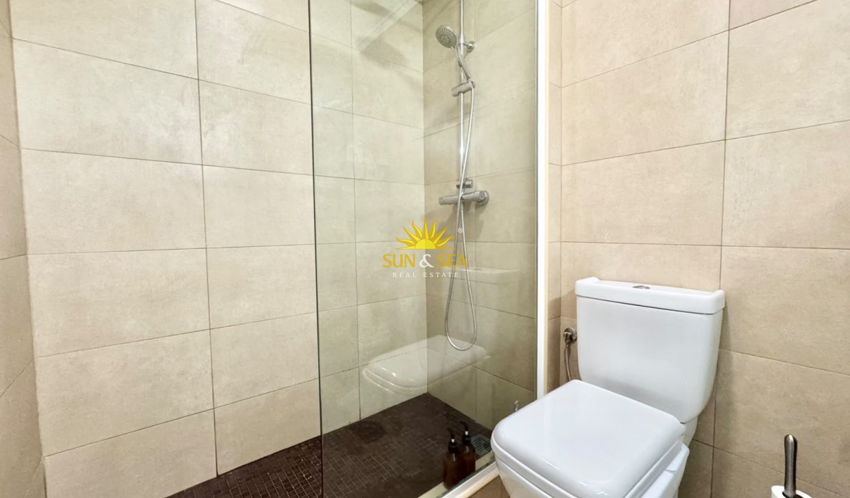 Alquiler de invierno - Apartamento - Torrevieja - torrevieja