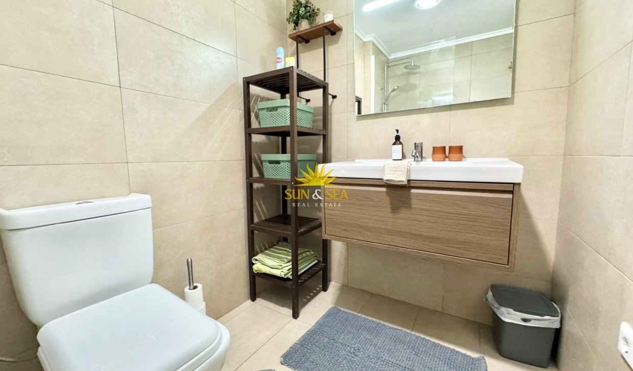 Alquiler de invierno - Apartamento - Torrevieja - torrevieja