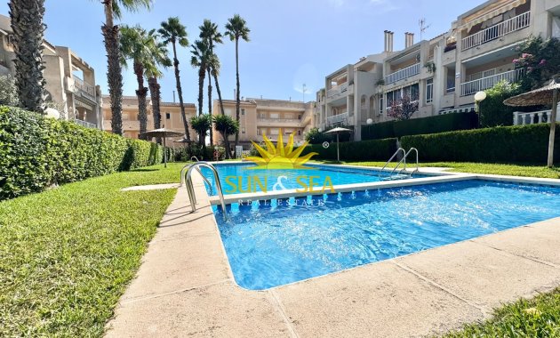 Alquiler de invierno - Apartamento - Torrevieja - torrevieja