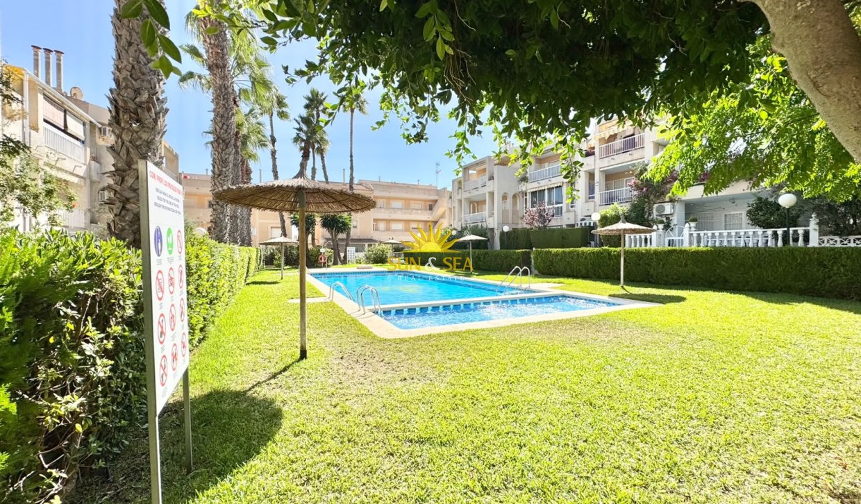 Alquiler de invierno - Apartamento - Torrevieja - torrevieja